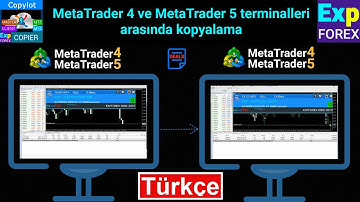 Türkçe. COPYLOT. MetaTrader 4/5 için Copier #forex #copytrading #metatrader #trading #Expforex