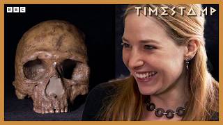 Amazing Homo Erectus Fossil Prompts Controversial Origin Theory Bbc Timestamp