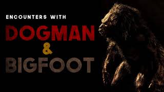 6 ENCOUNTERS WITH BIGFOOT AND DOGMAN (Sasquatch, Dogman) - What Lurks Beneath