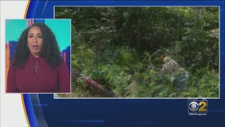 Garden Goddess Will Sell Produce Grown In Her Urban Market To Local Food Market
