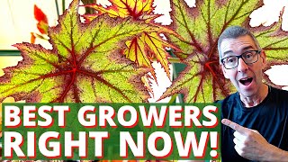My BEST GROWERS Right Now! Only the Good Stuff...