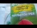 Огляд насіння овочів,отриманого від інтернет- магазину  10 січня 2024року.