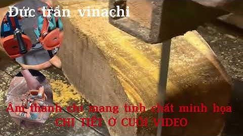 Chi Tiết Máy Mở Lưỡi Cưa Vòng, Cưa Vanh, Cưa Lọng, Cưa Dọc Gỗ Vinachi #muisoigo #meohaythomoc