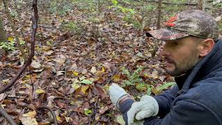 BIGFOOT OF MICHIGAN: Season 1, Episode #9 with Darrick Grim.