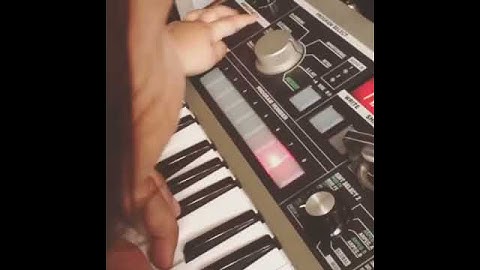 William and the microkorg