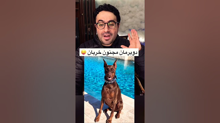 اشرس انواع الكلاب🥰🤍