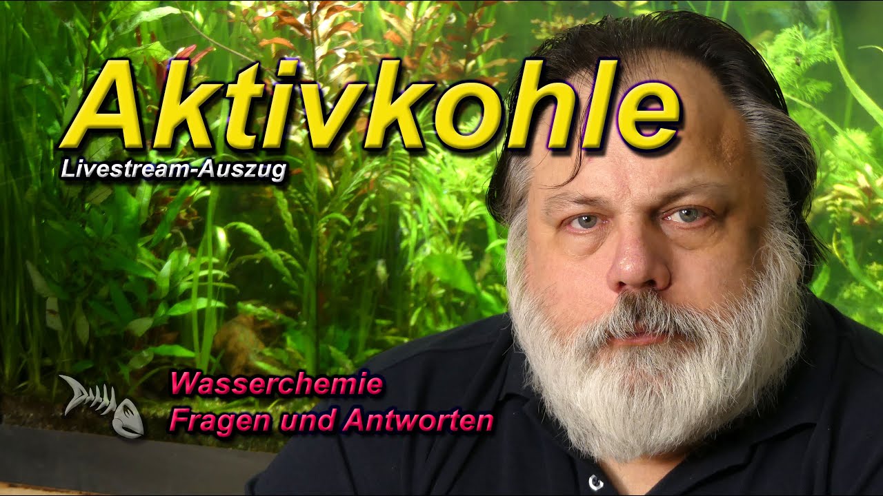 Aktivkohle im Aquarium. Was sie bewirkt und möglicher Langzeiteinsatz