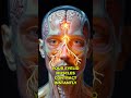 What Actually Happens Inside Your Body When You Blink?
