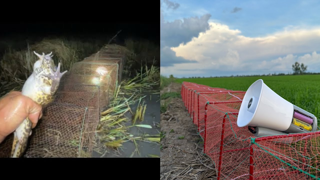 Giới Thiệu Mẫu Loa Tục Ếch và Cửa Ngục ếch 0393259260 Loa đi được 7 tiếng