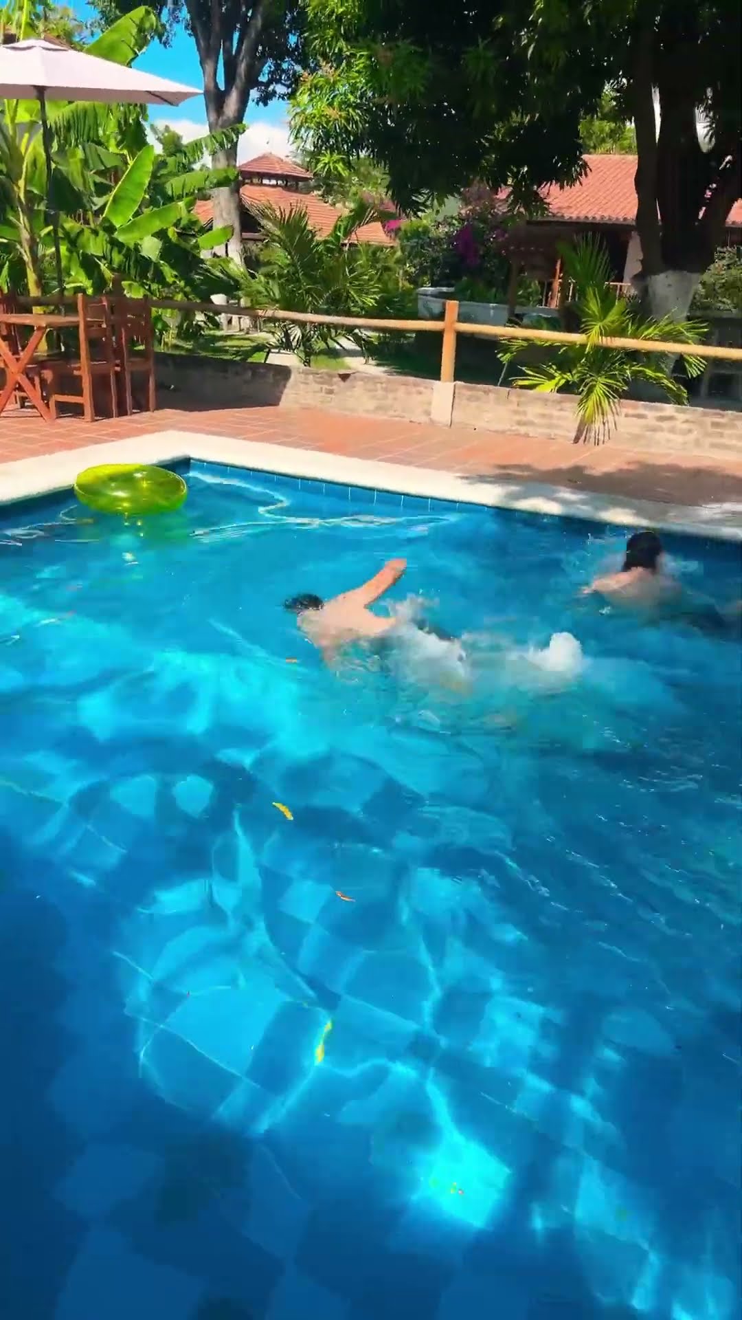 Las carreras #humor #cosasdefamilia #comedia #shortviral