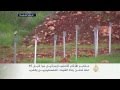 مقابر الأرقام في إسرائيل