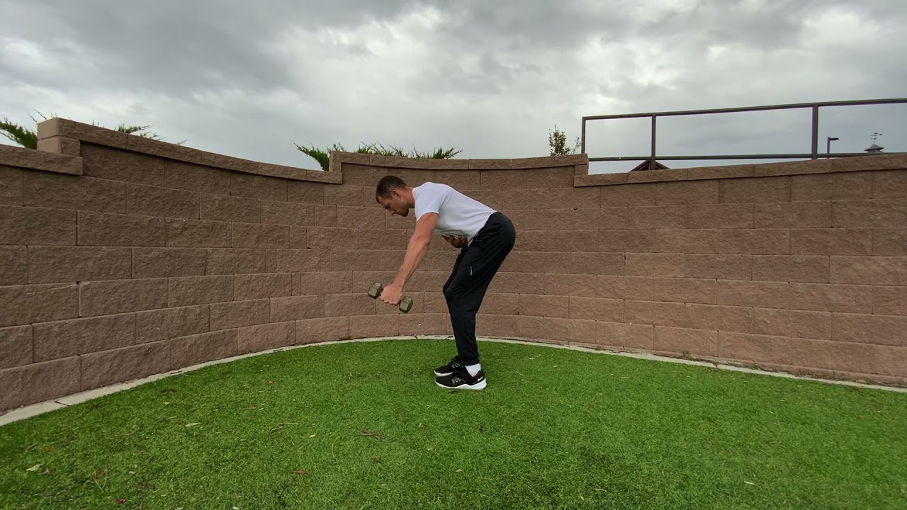 DB Bent Over SA Reverse Fly - YouTube