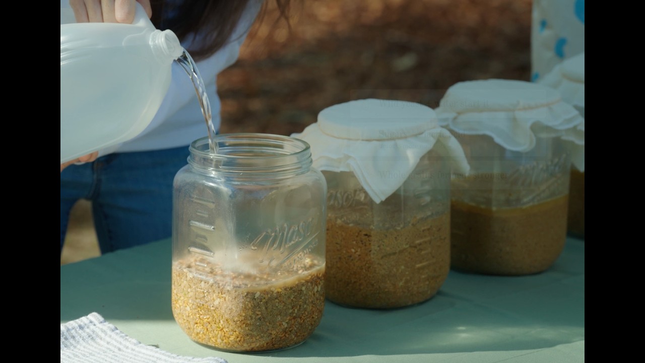 How to Ferment Chicken Feed (30-Day Results)