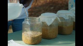 How to Ferment Chicken Feed (30-Day Results)