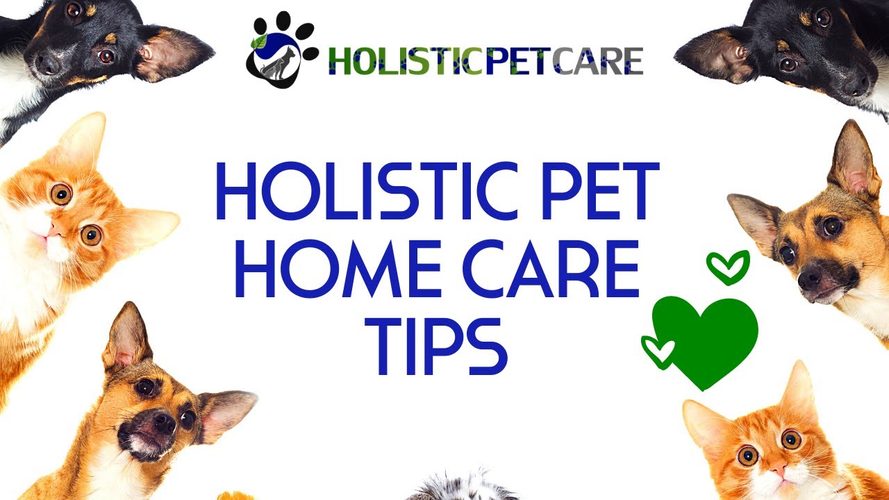 Holistic Pet Home Care Tips Holistic Pet Home Care Tips