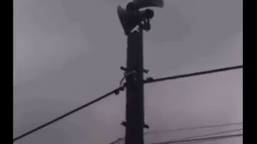 Hài tục tiểu Lê Văn Lâm mới nhất