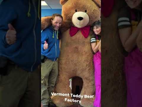 Video: Վերմոնտի Teddy Bear-ի գործարանային շրջագայություններ