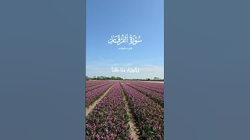 ايات من القران الكريم #اكسبلور #استغفرالله #تيك_توك #راحة_نفسية #تصويري #لايك #duet