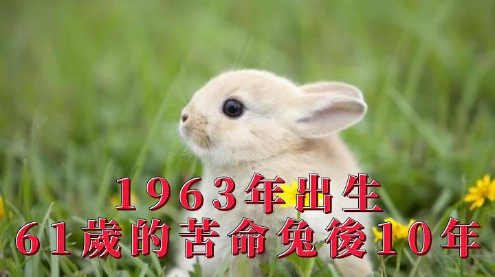 1963年出生61歲的「苦命兔」後10年，人生兩個大刧！即將擺脫一生命苦的日子！｜🐰兔生肖運勢 - 天天要聞