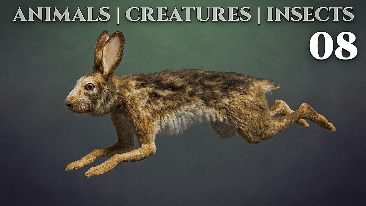 Animals - Creatures - Insects  / 08 - Blender 2.82