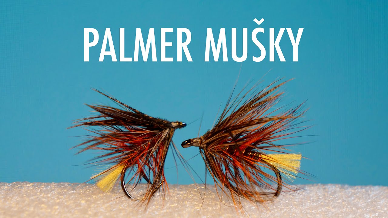 Palmerová muška: Tradičný vzor, ktorý nikdy nesklame