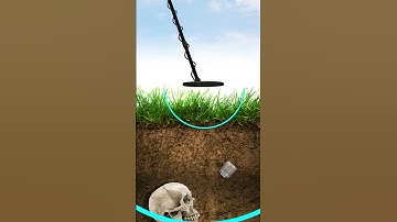 Ever wondered how metal detectors actually work? 🤔🔍