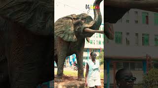 Experience the beauty, culture and energy of Kampala with a quick city tour