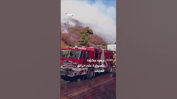 برا وجوا جهود مكثفة للسيطرة على النيران في لوس أنجلوس 