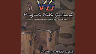 Primero Es Mi Gaita - VHG
