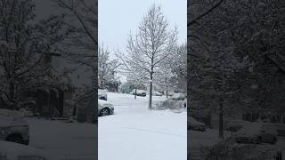 Some views of the snow falling in New York #travel #newyork #views #snowfall #snow #holidayvibes