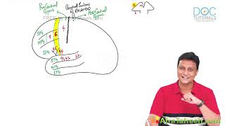Brodmann Areas of Brain | Functional Areas Explained | Dr Azam | MB MBBS