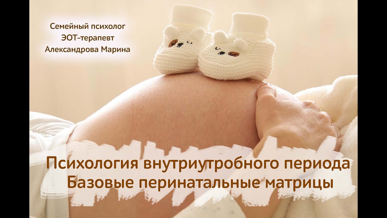 Психология внутриутробного периода. Базовые перинатальные матрицы ...