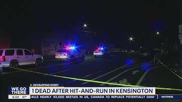 1 dead after hit-and-run in Kensington