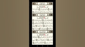قراءة سورة الهمزة بصوت هادئ و خاشع تلاواتي____TELAWATE