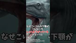 奇形な古代生物３選 #生き物 #2ch #動物 #2ch面白いスレ