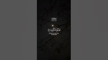 ماهر المعيقلي سورة الذاريات || #قران_كريم || #قرآن || #quran || #سورة #الذاريات || #ماهر_المعيقلي