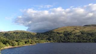 IMG 7409