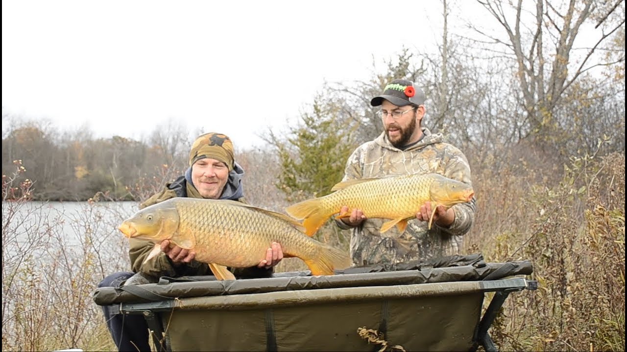 Twelve Months of Carp November Edition YouTube