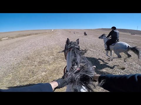 Atlar ve Uzaklar 29: Fırtına, Sultan Atlı Okçuluk Kulübü, Tepebaşı - Eskişehir