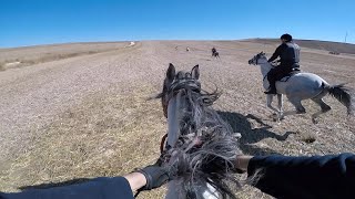 Atlar ve Uzaklar 29: Fırtına, Sultan Atlı Okçuluk Kulübü, Tepebaşı - Eskişehir