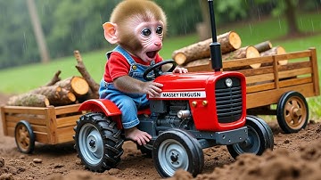 Monkey Nana Driving a tractor and the Rescue from the Deep Hole - NANA MONKEY LIFE