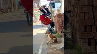 Dog is😰best🐶and amazing dogflip #viraljump#dogshorts #dogclothes #animals #youtube