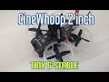 Cinematic micro whoop 2 inch geprc cineking frame
