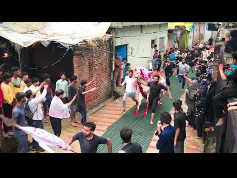 Live 10th Muharram  Ashura  Zuljanah Baramad Video  Zainpur Jhanjheri  Zuljanah 20211443 Hijri