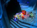 Ashen Verdict Exalted