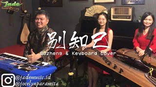 别知己 bie zhi ji - Guzheng \u0026 Keyboard Cover