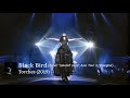 Black Bird (Aimer "soleil et pluie" Asia Tour in Shanghai) / Aimer
