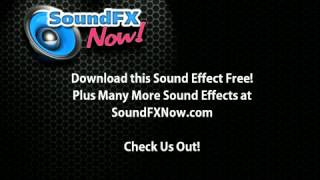 Farting Sound Effect