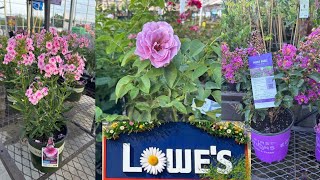 LOWES BEST NEW PLANTS ARRIVALS FOR SUMMER AND 4th OF JULY* HOW TO MAKE YOUR GARDEN BEAUTIFUL?