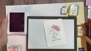 Hand Penned Suite video   SD 480p
